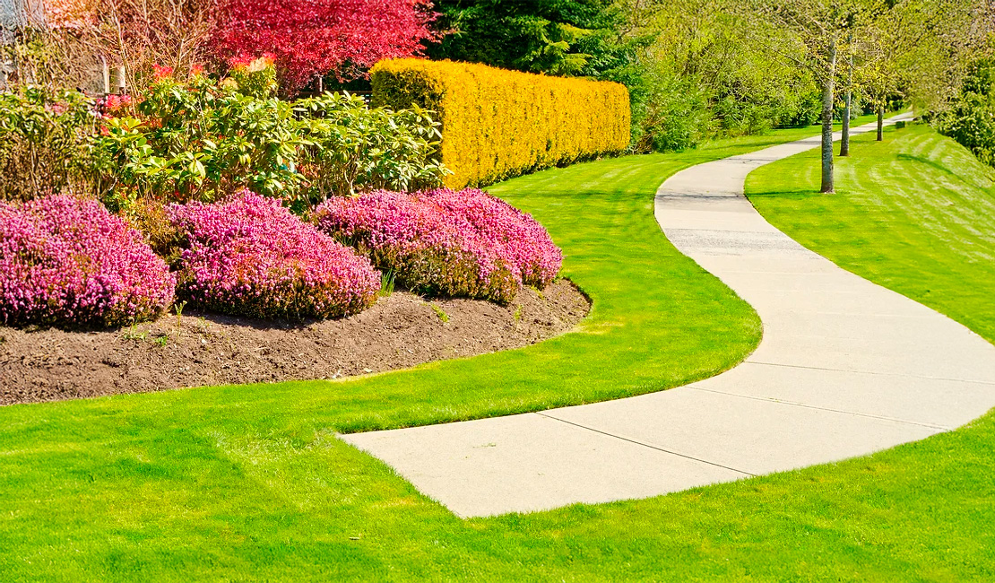 Cordes-Garten-Weg-1-Gehwegplatten-Pflanzung-Hecke