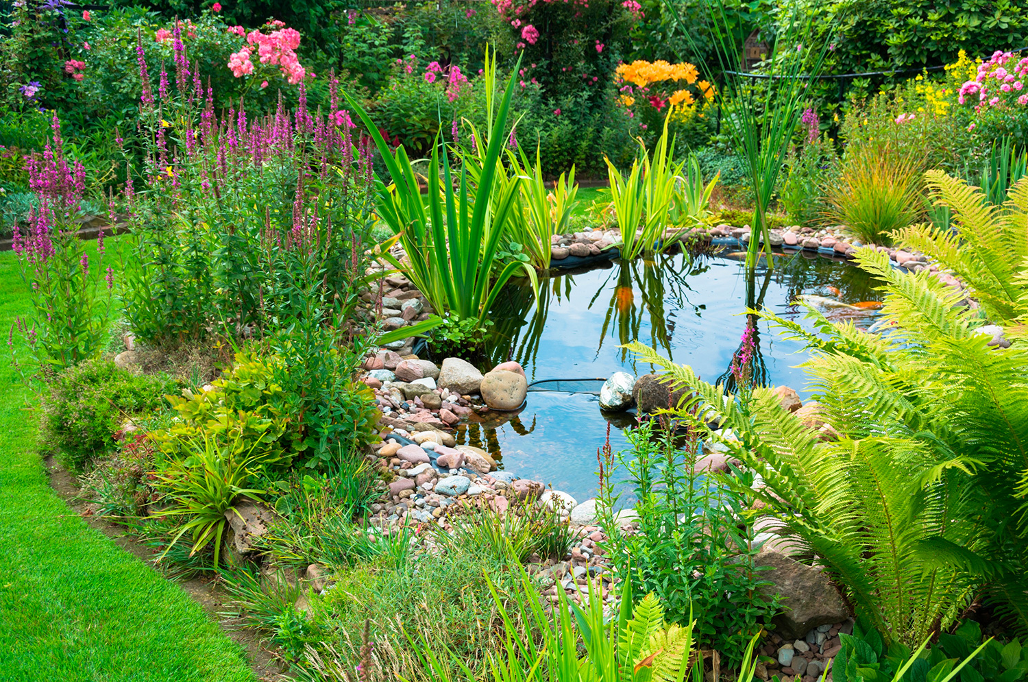 Cordes-Nutzwasser-Abwasser-Umsetzung-1 Cordes-Nutzwasser-Abwasser-Umsetzung-1-Gartenteich