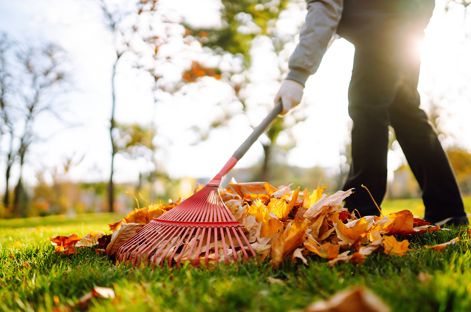 Cordes-Objektpflege-Gartenpflege-Grundstueckspflege-1 Cordes-Objektpflege-Gartenpflege-Grundstueckspflege-1-Harke-Laub